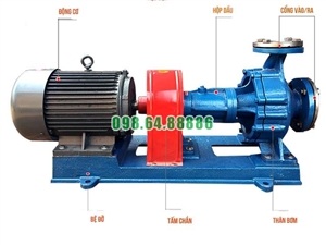 Bơm dầu truyền nhiệt chịu nhiệt cao RY125-80-160 Lưu lượng 160 m3/h, công suất 22 kW, cột áp 50 m