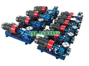 Máy bơm dầu tải nhiệt RY100-65-200A lưu lượng 94 m3/h, công suất 22 kW, cột áp 44 m